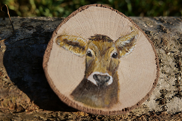 Manufatto in legno di nocciolo