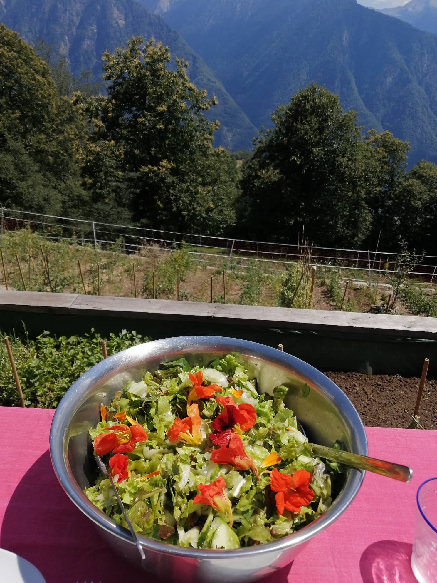 Terrazze Sante: Dinner in the Garden