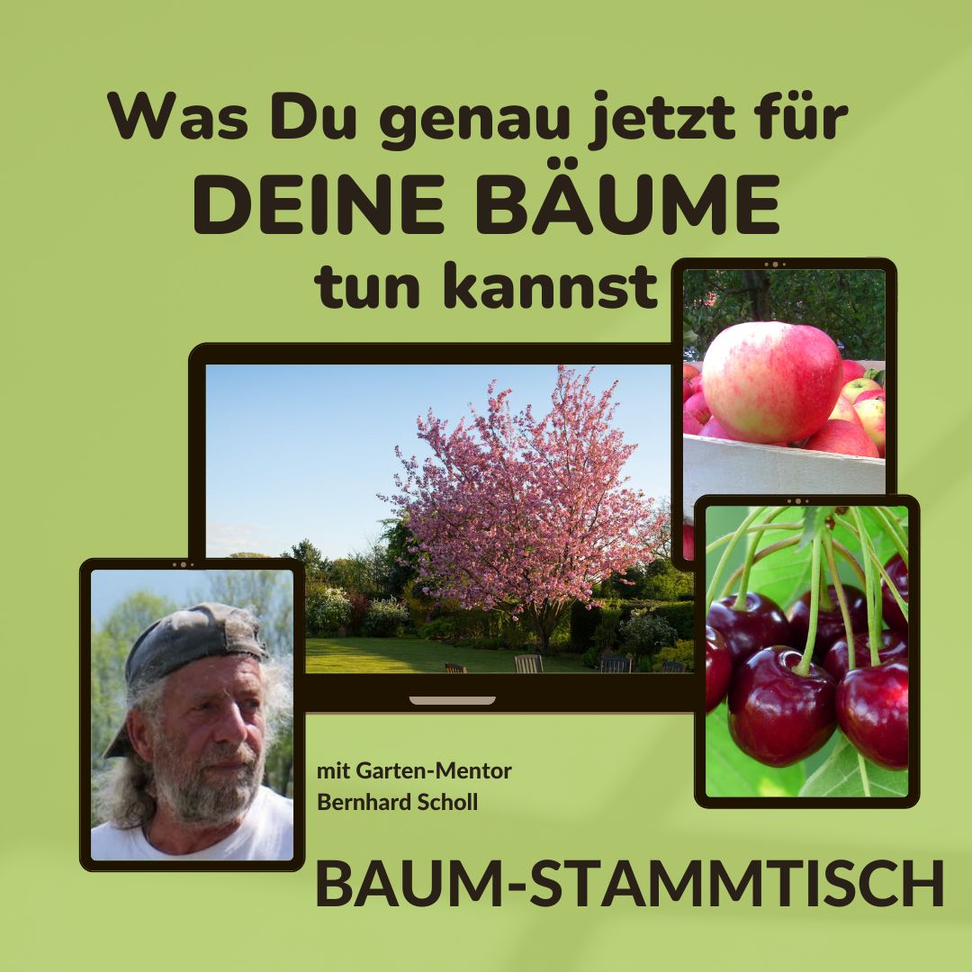 Baum-Stammtisch mit Garten-Mentor Bernhard Scholl