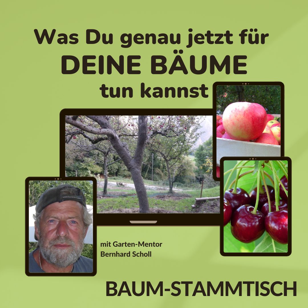 Baum-Stammtisch mit Garten-Mentor Bernhard Scholl