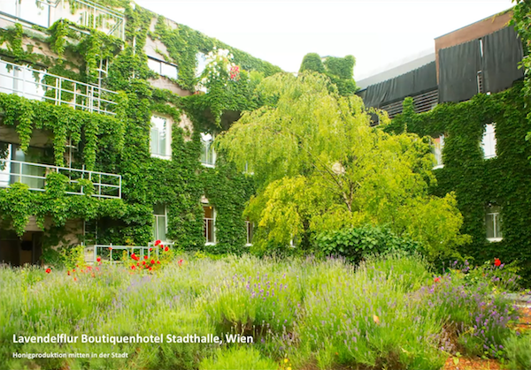 Lavendelflur Boutiquenhotel Stadthalle Wien, Quelle: Prof. Pfoser