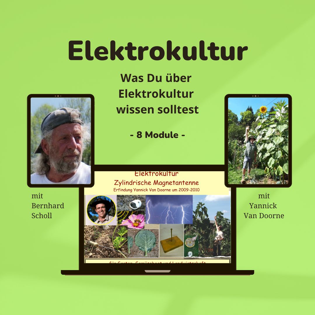 Elektrokultur mit Yannick van Doorne und Bernhard Scholl