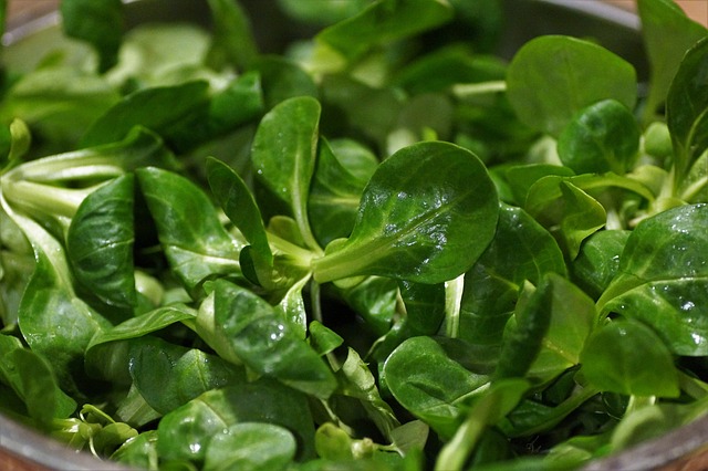 Feldsalat, Nüsslisalat