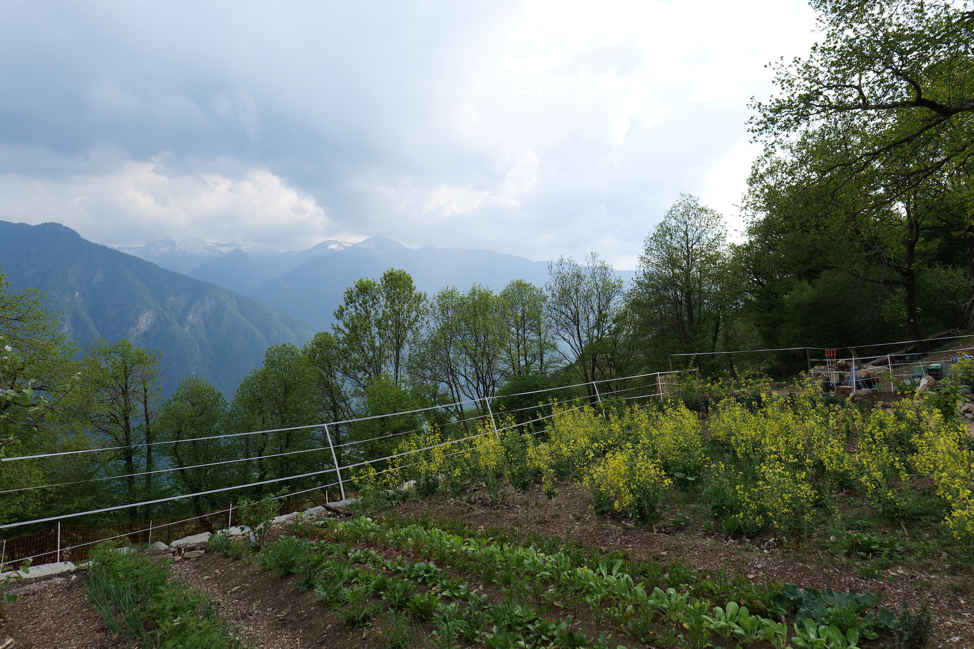 p1004587-terrasse1.74.62d414a53125b