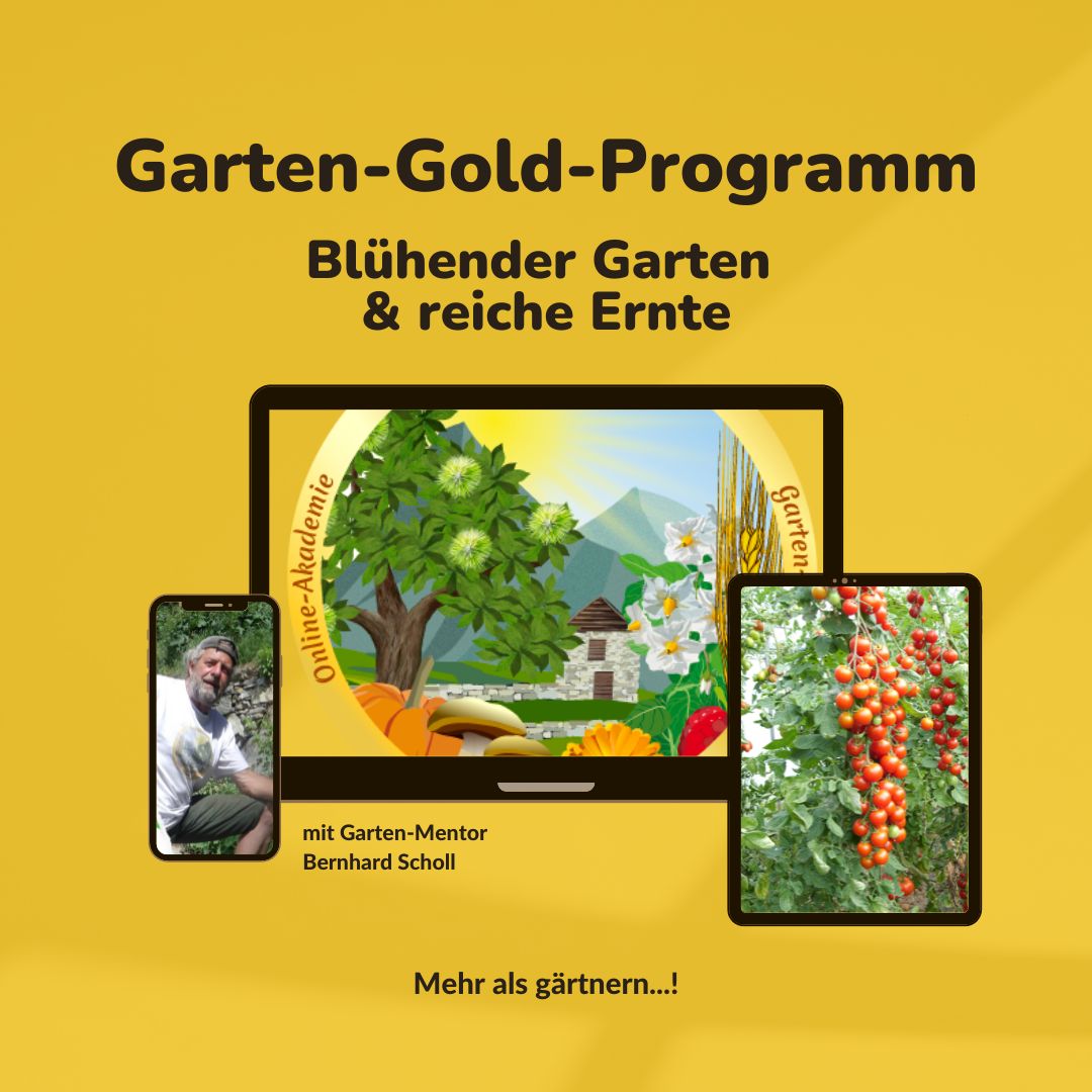 Garten-Gold-Programm mit Garten-Mentor Bernhard Scholl