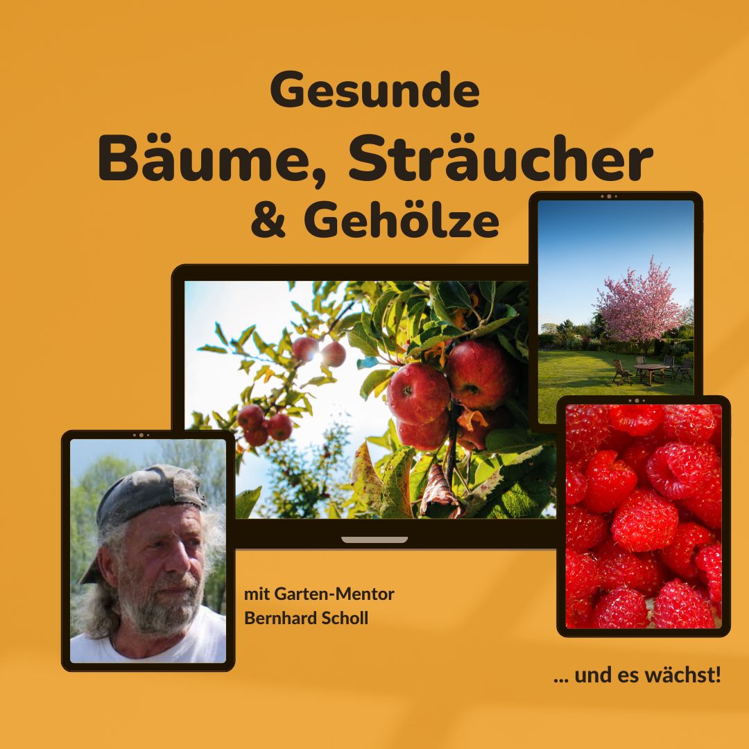 Baum-Kurs 2.0 mit Garten-Mentor Bernhard Scholl