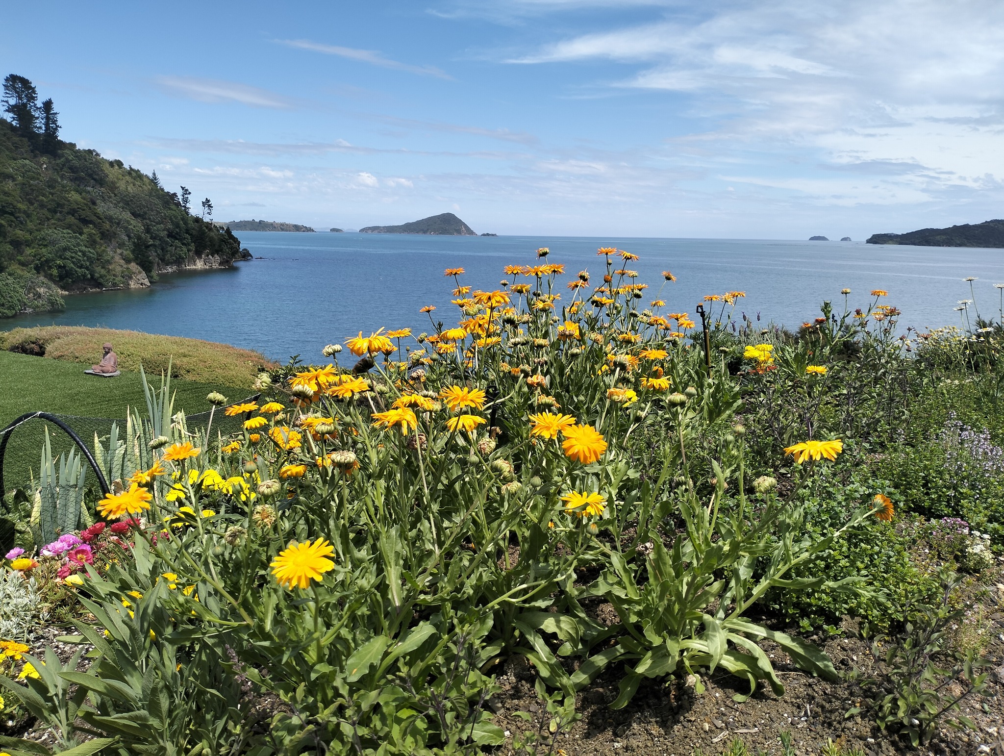 Podcast Bernhard Scholl