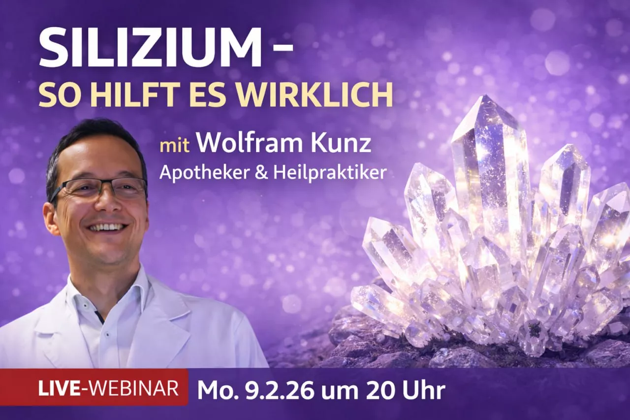 Webinar mit Wolfram Kunz