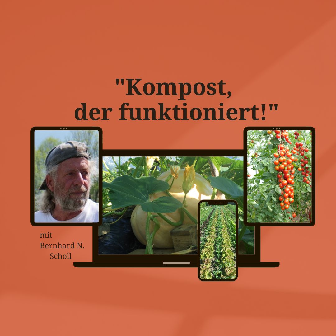 Kompost2.jpg