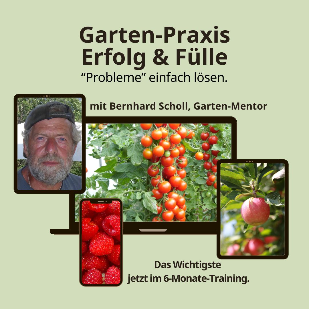 terrazze-sante-garten-praxis-6m-lerne-von-profis-nur-108-pro-monat-x-6